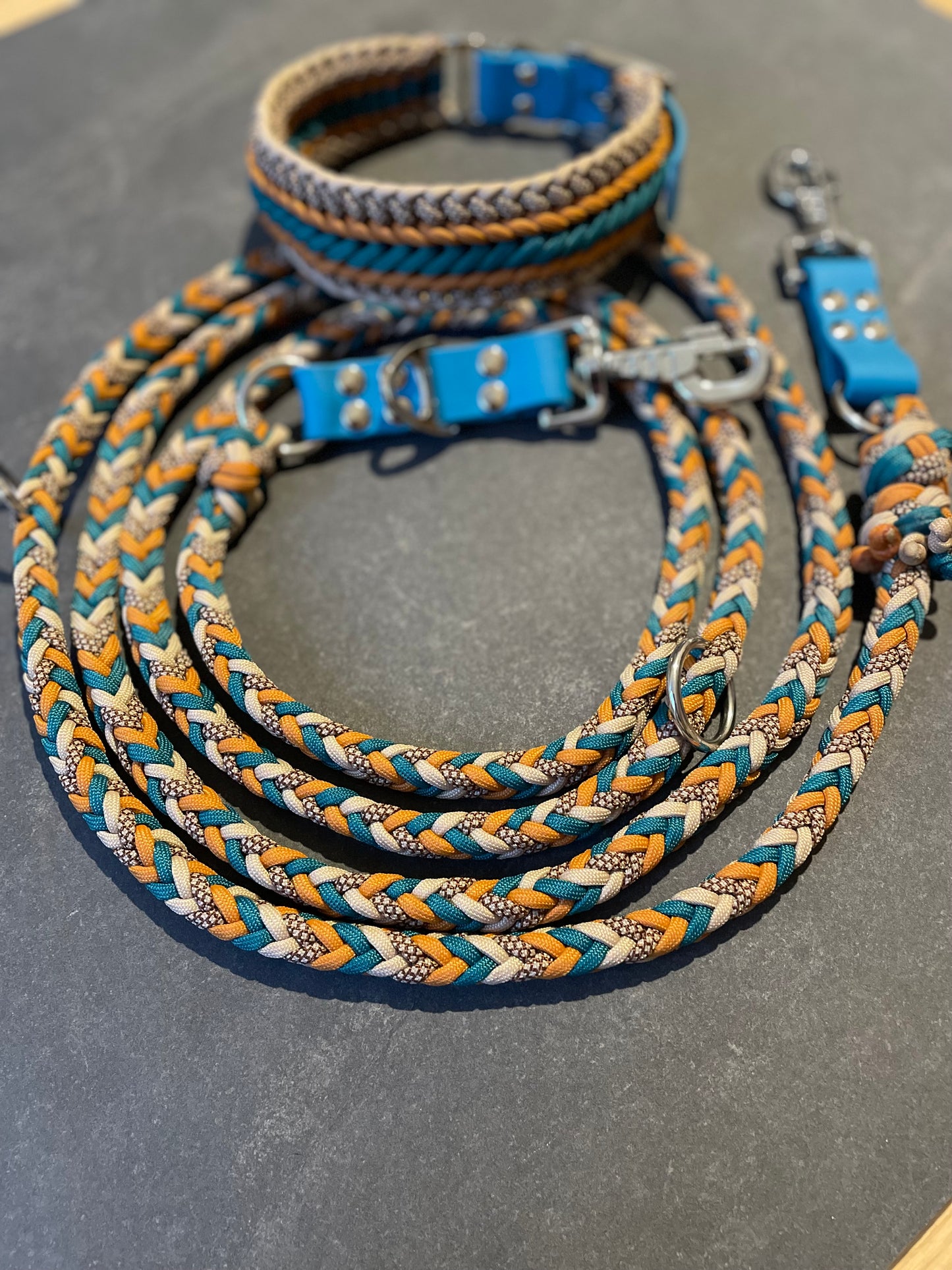 Laisse Paracord 3 points