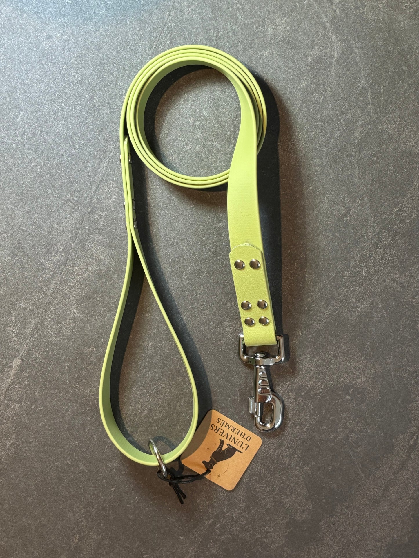 Laisse en Biothane mono couleur