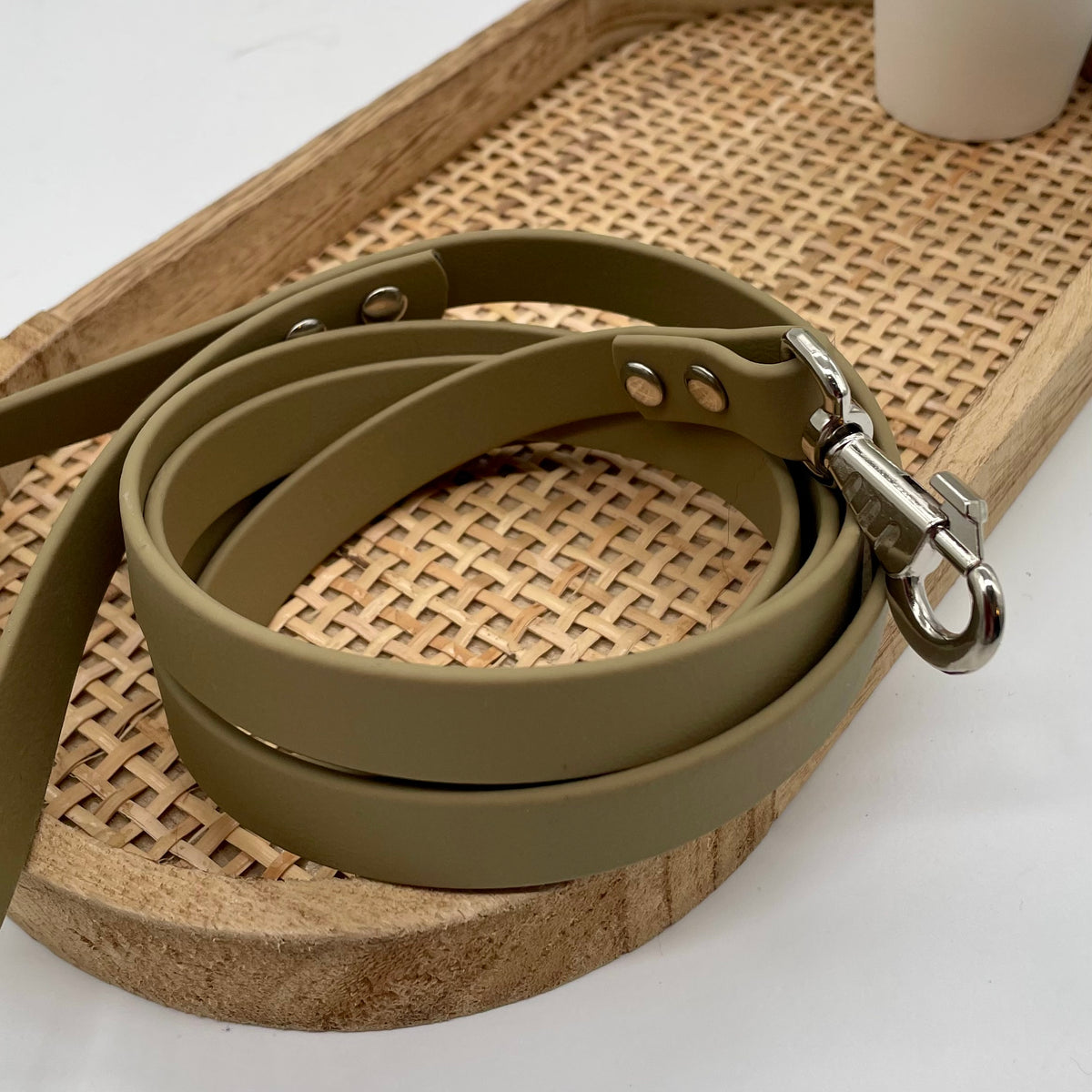 Laisse en biothane mono colore pour petit chien