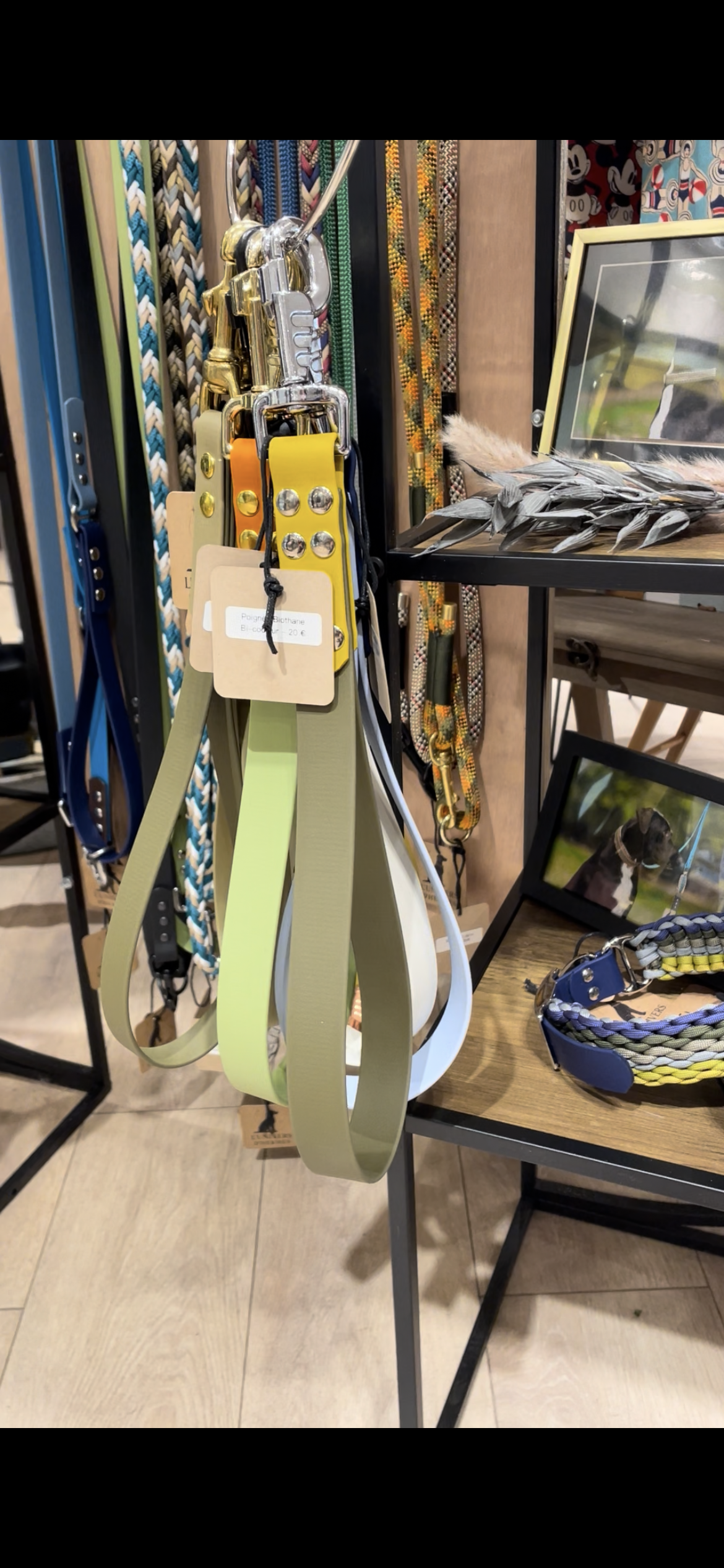 Poignée en Biothane bi couleurs