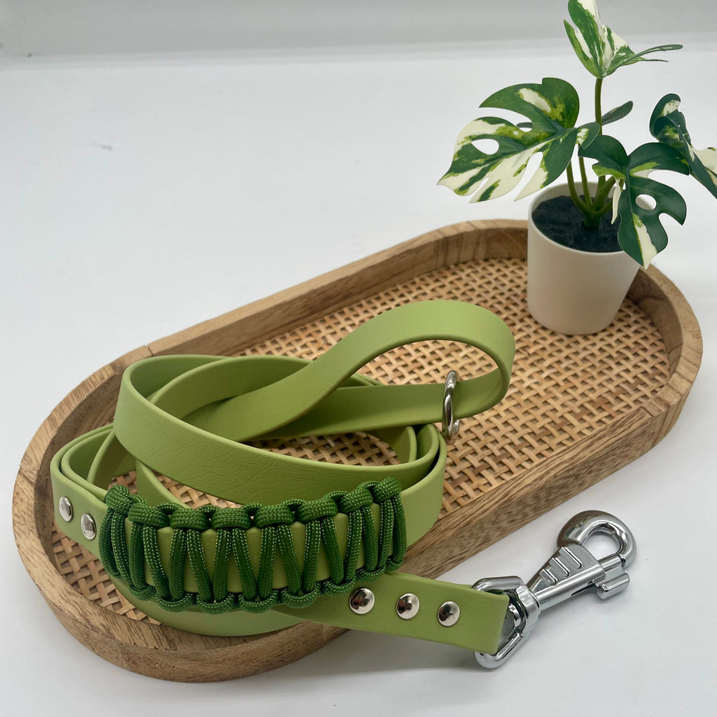 Laisse en biothane mono colore pour chien