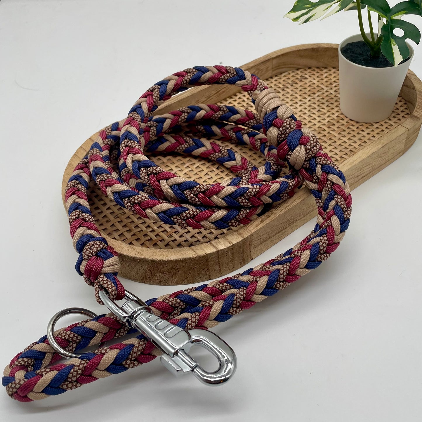 Laisse Paracord
