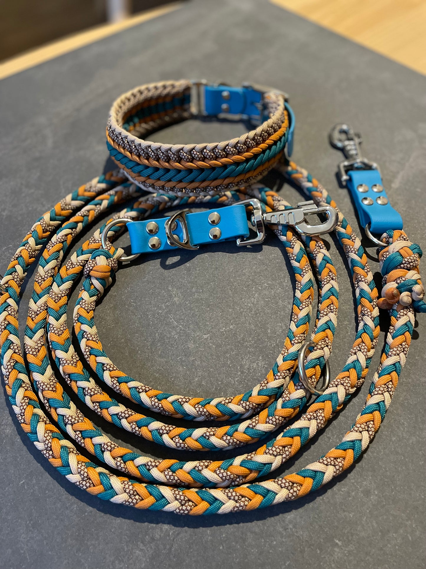 Laisse Paracord 3 points