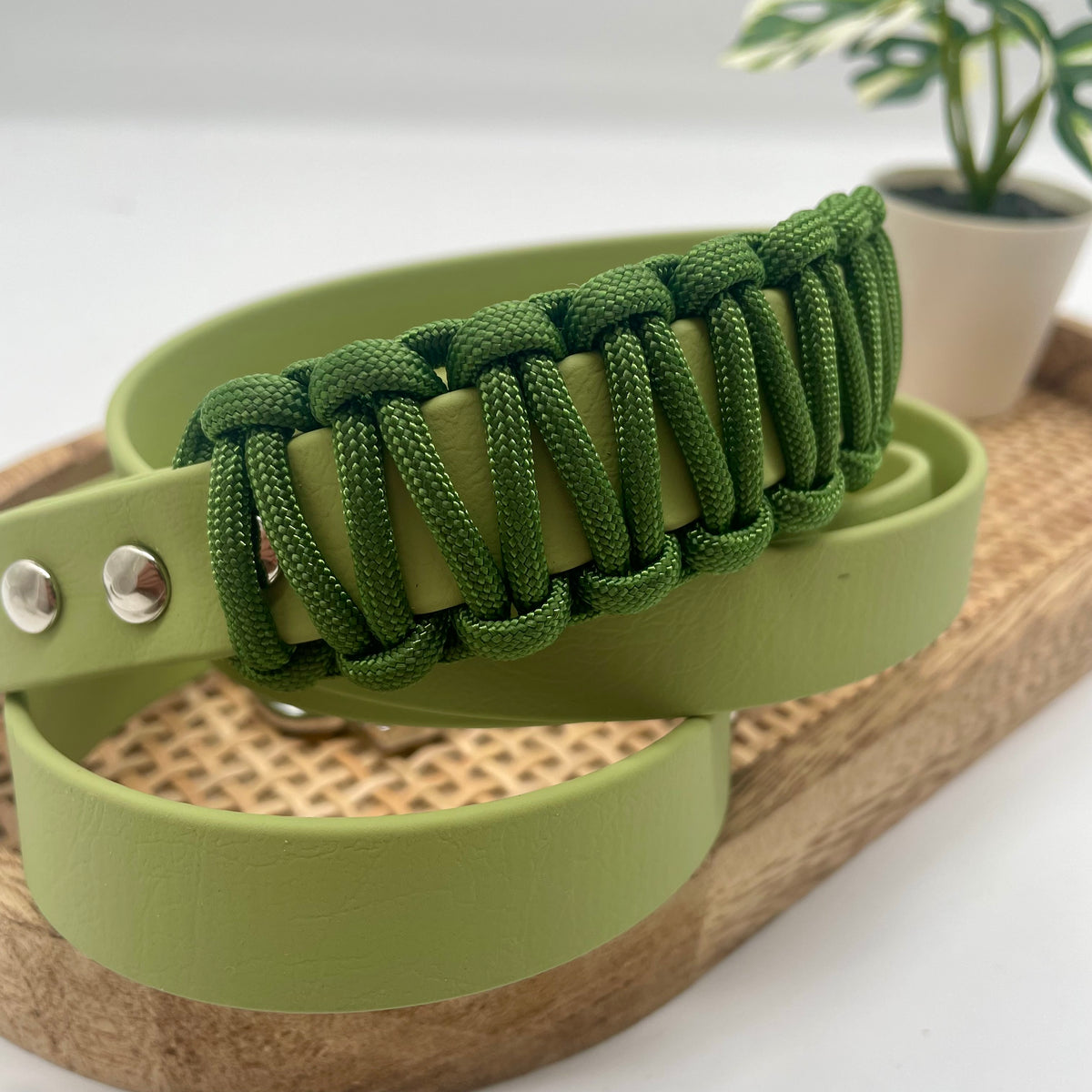 Laisse en biothane mono colore pour chien