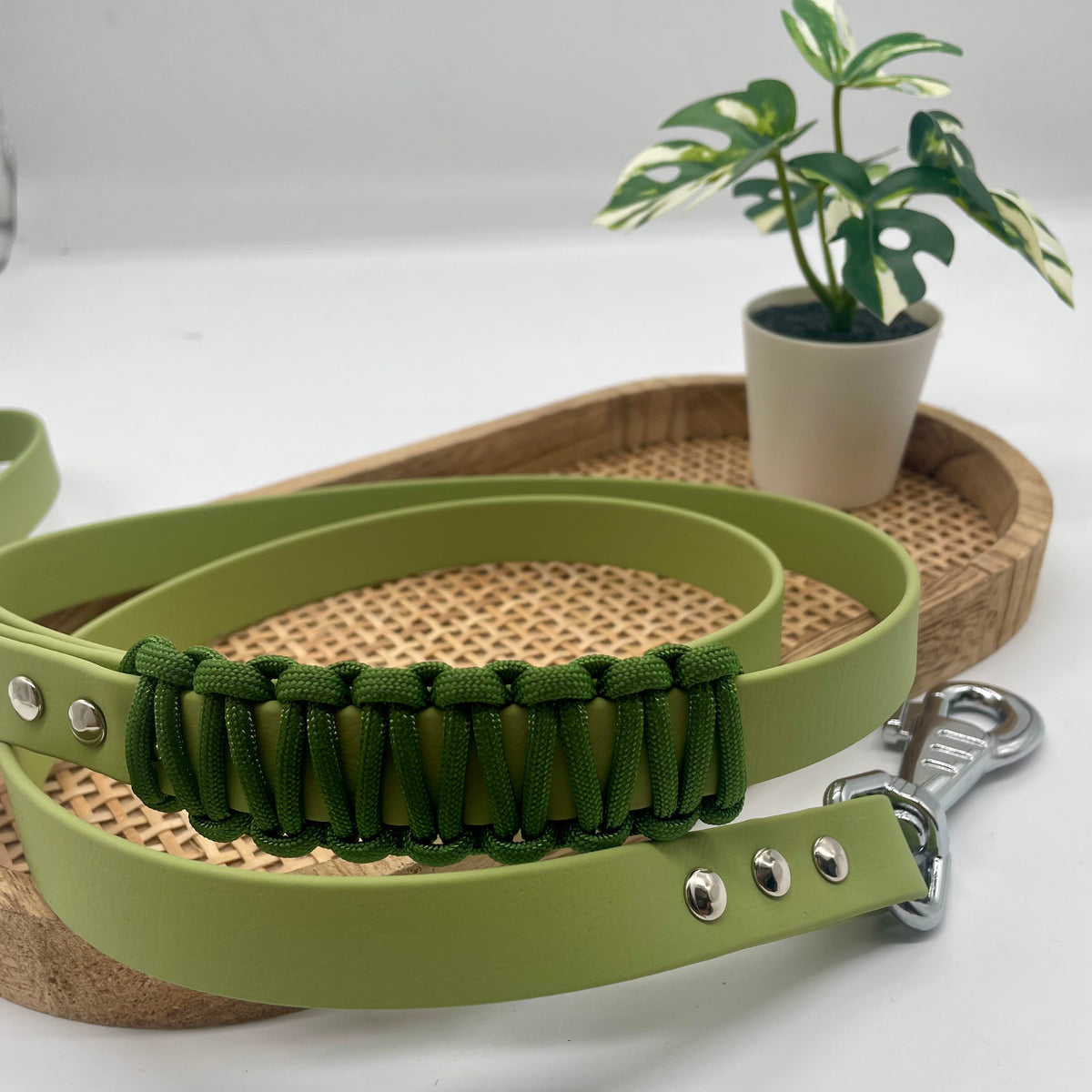 Laisse en biothane mono colore pour chien