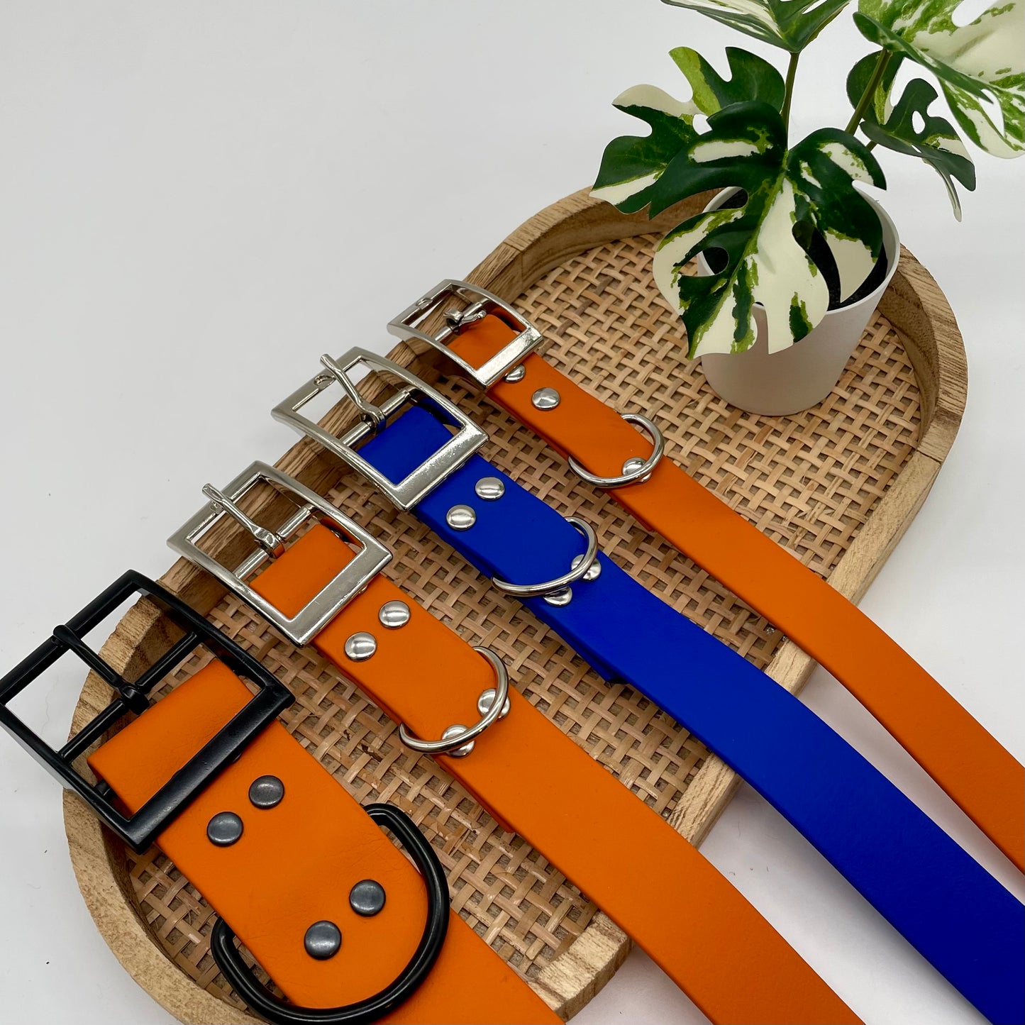 Collier en Biothane