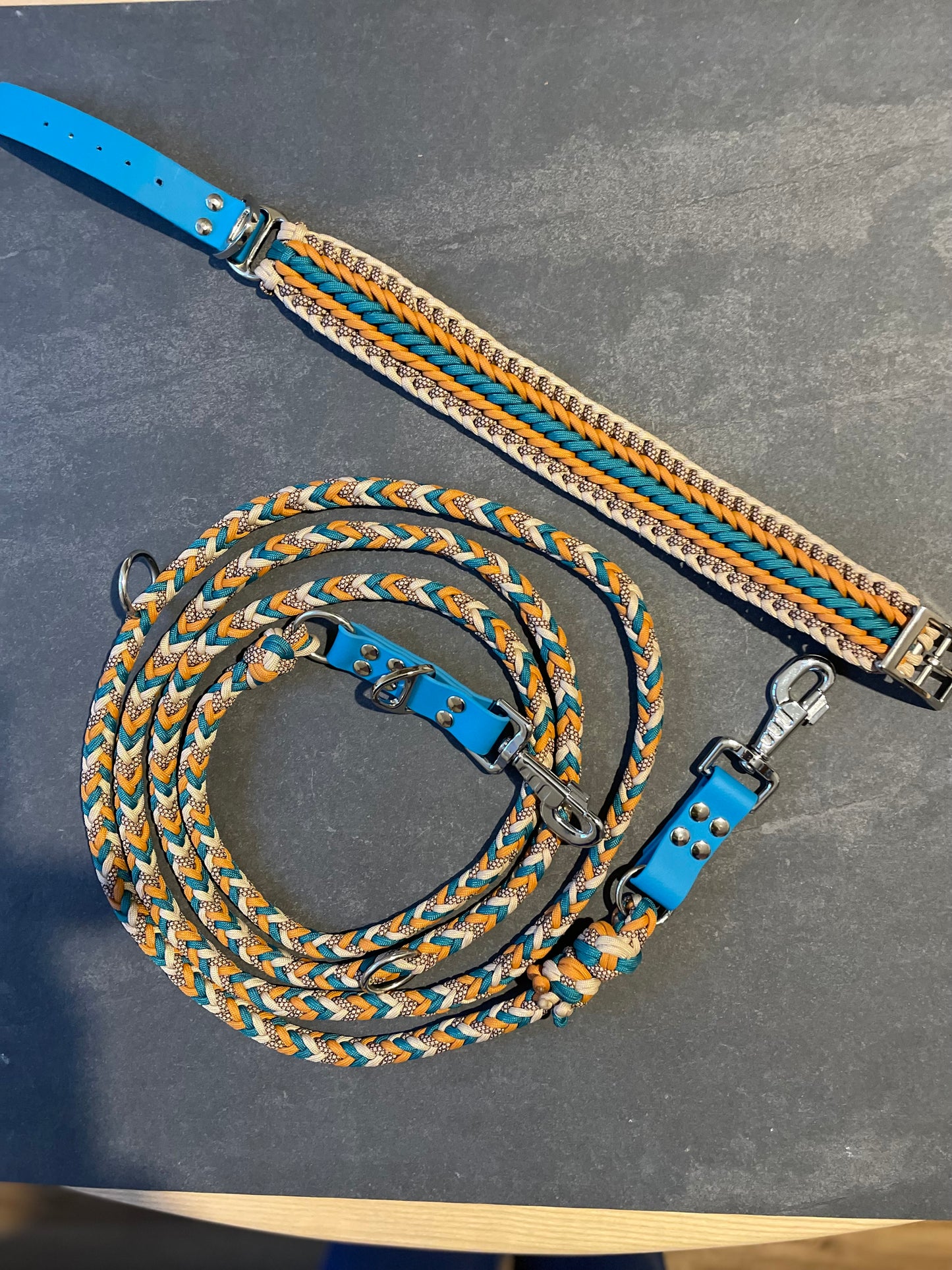 Laisse Paracord 3 points