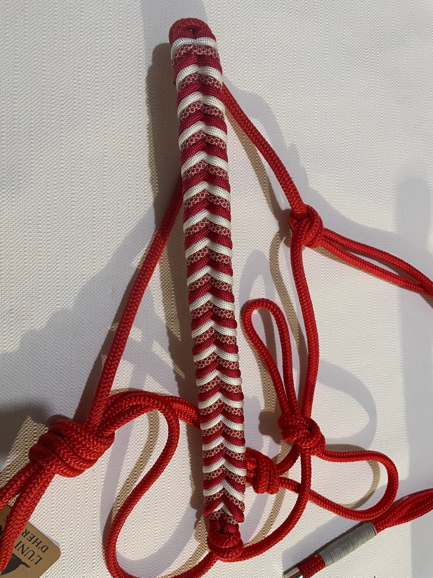 Licol éthologique