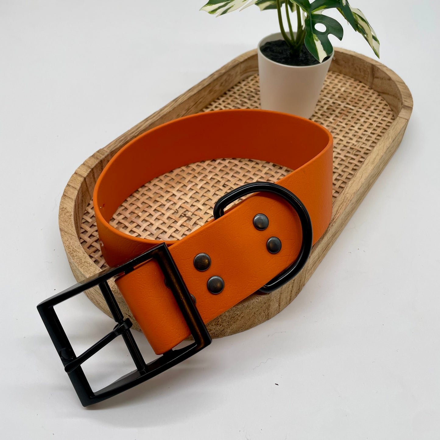 Collier en Biothane