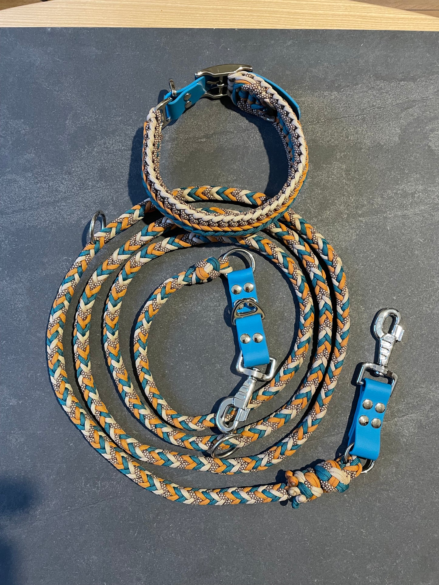 Laisse Paracord 3 points