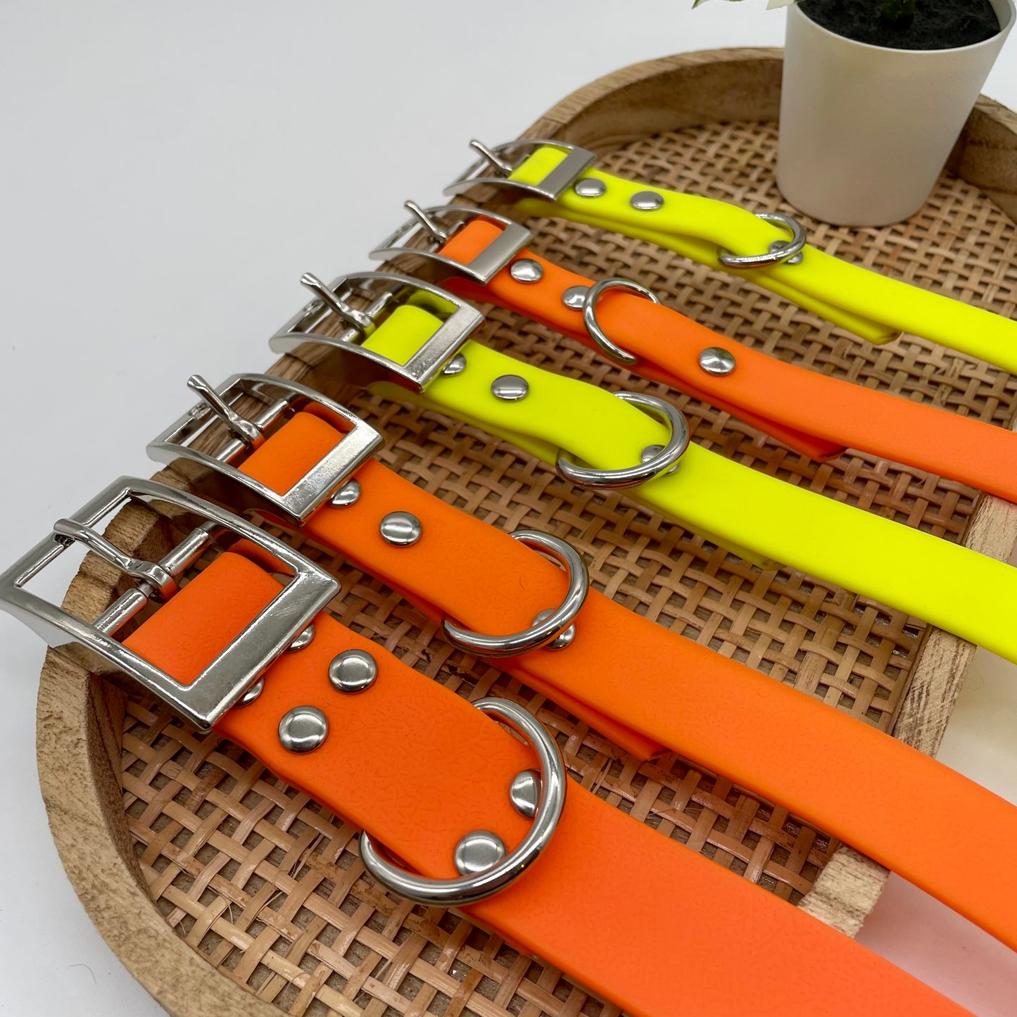 Collier en Biothane