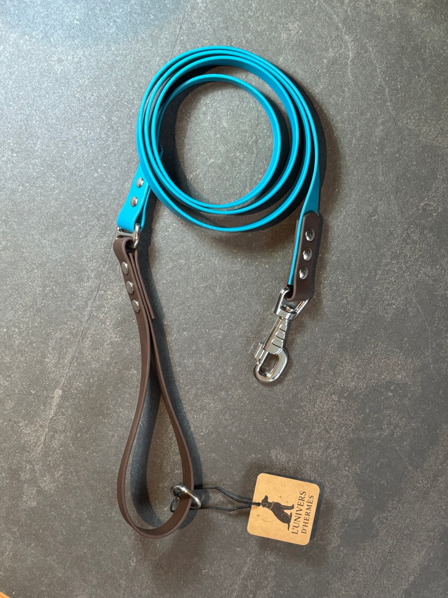 Laisse en Biothane bi couleur