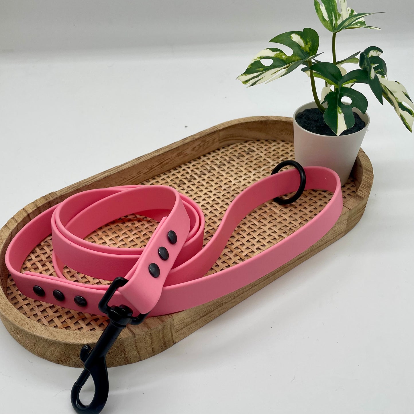 Laisse en Biothane mono couleur