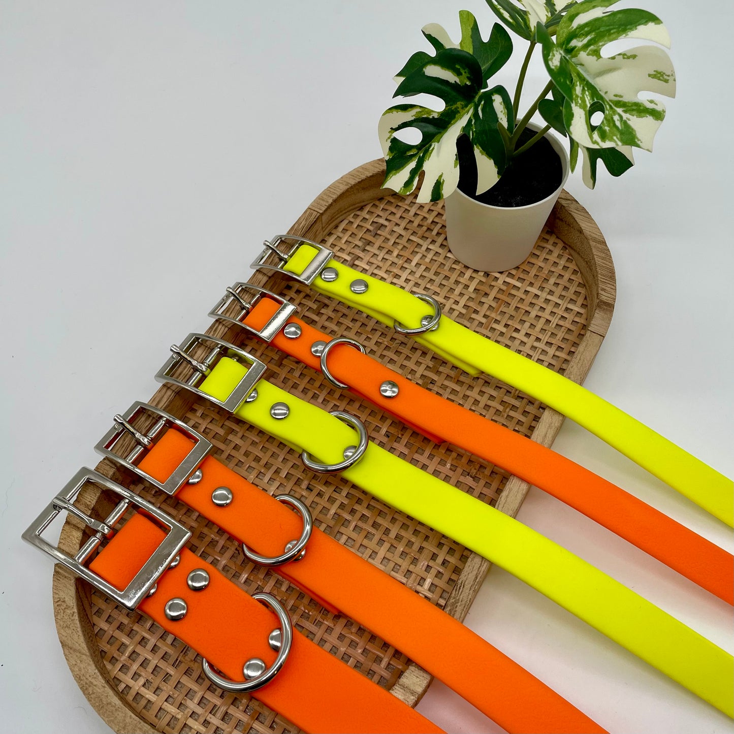 Collier en Biothane