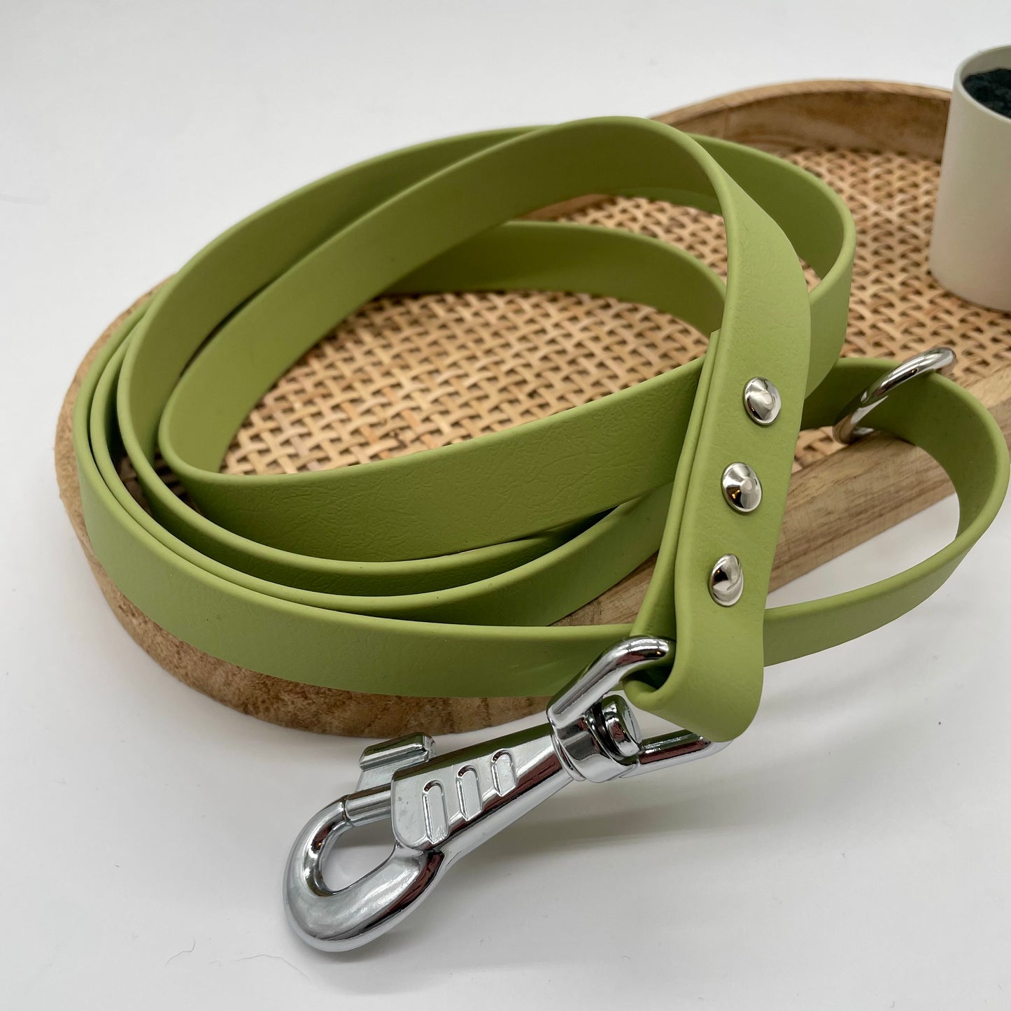 Laisse en Biothane mono couleur
