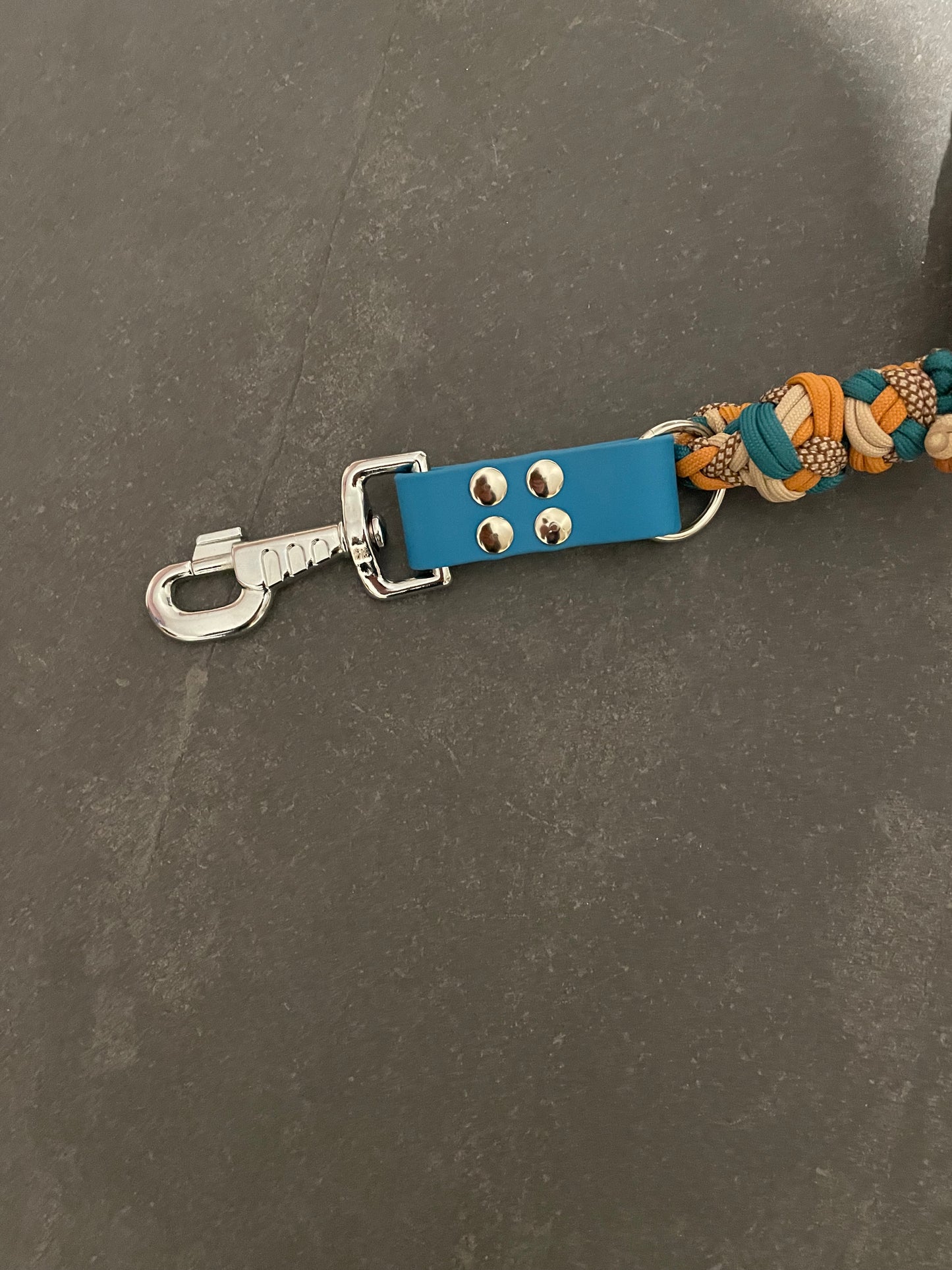 Laisse Paracord 3 points