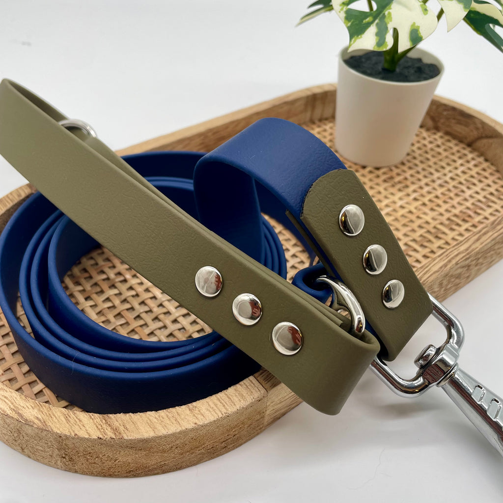 Laisse en biothane bicolore pour chien "Prêt à partir" - Seatle