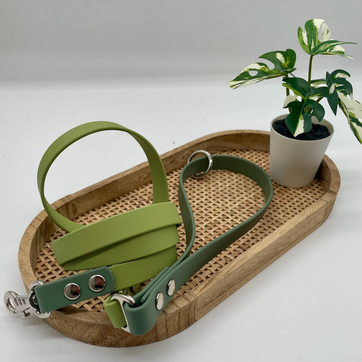 Laisse en biothane bicolore pour petit chien