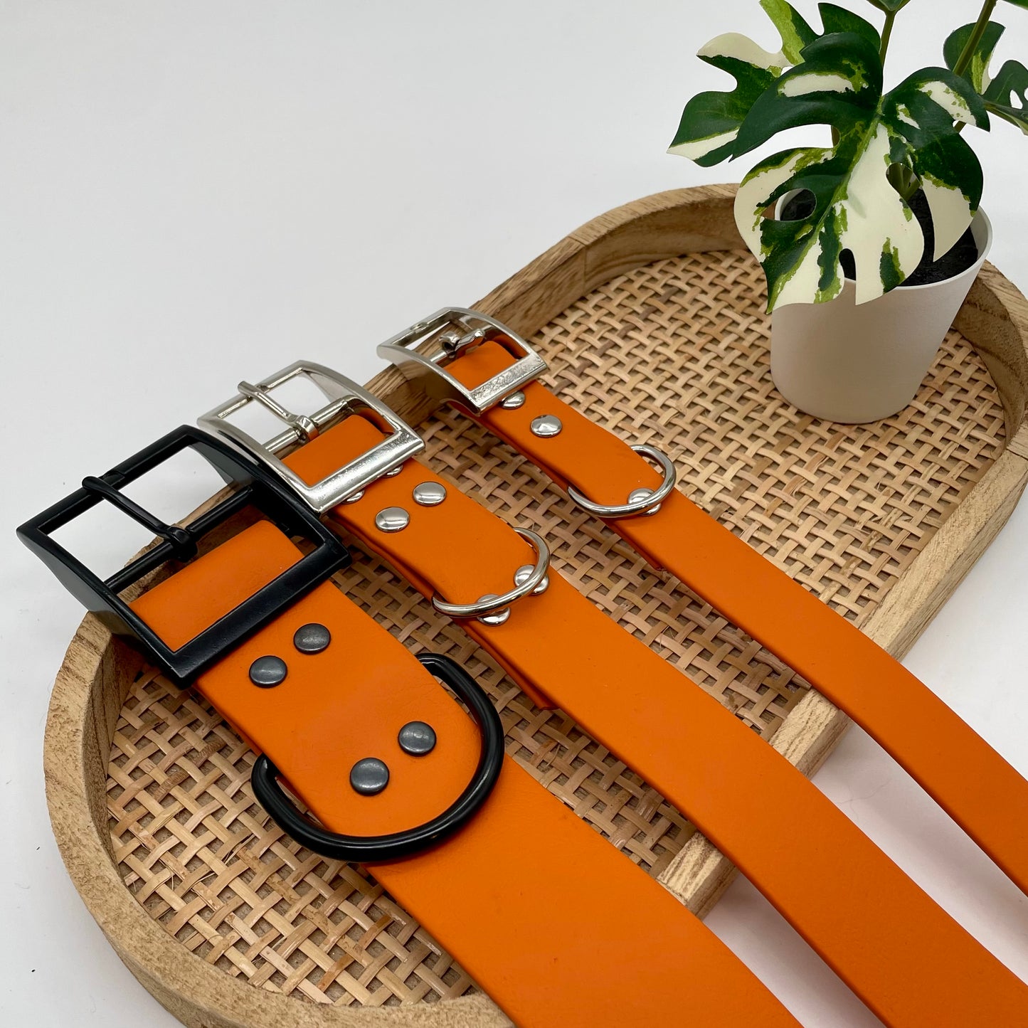Collier en Biothane
