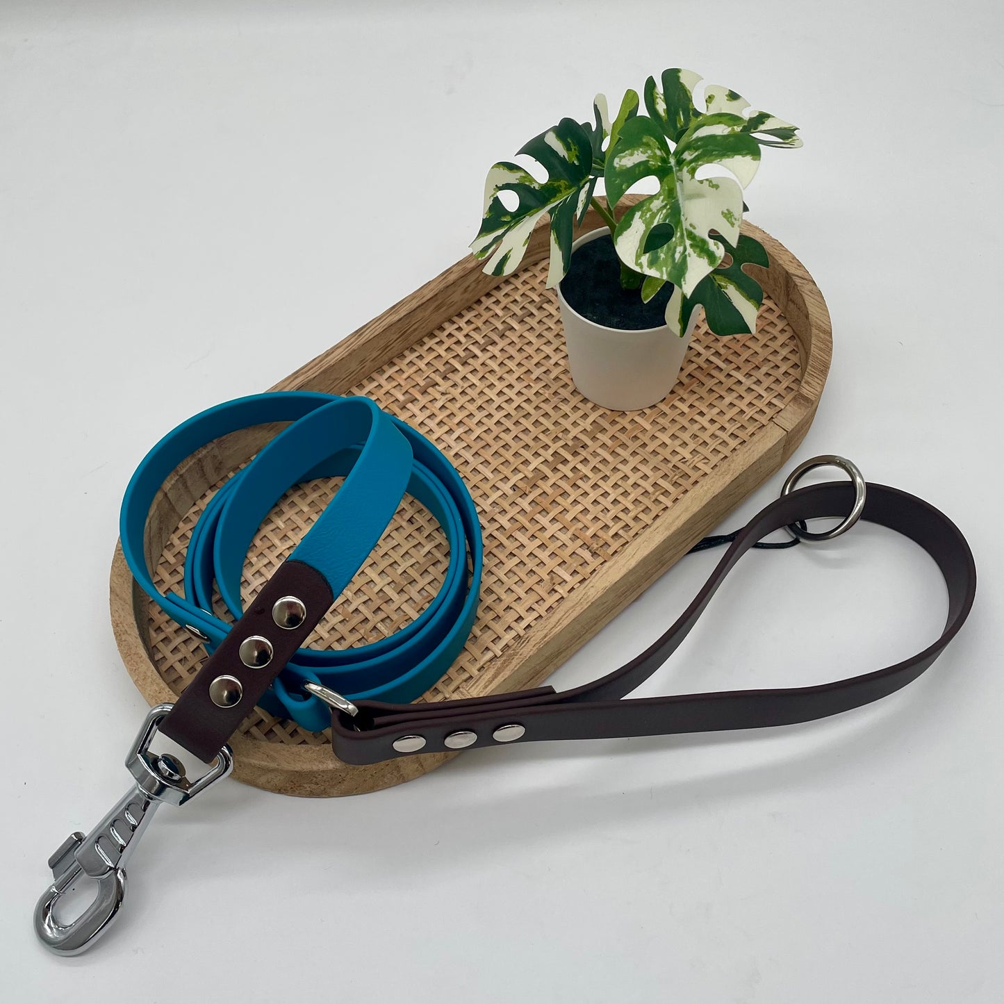 Laisse en Biothane bi couleur