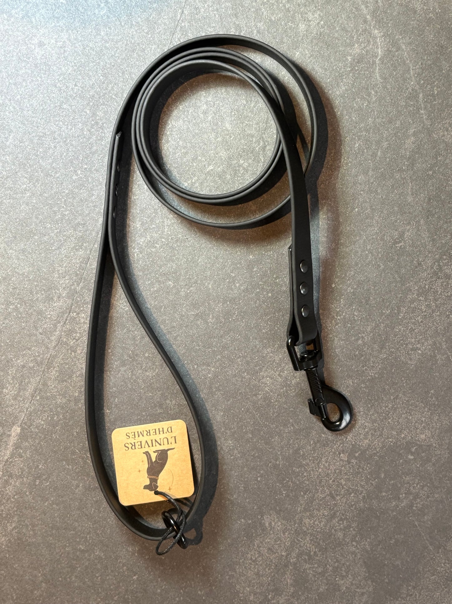 Laisse en Biothane mono couleur