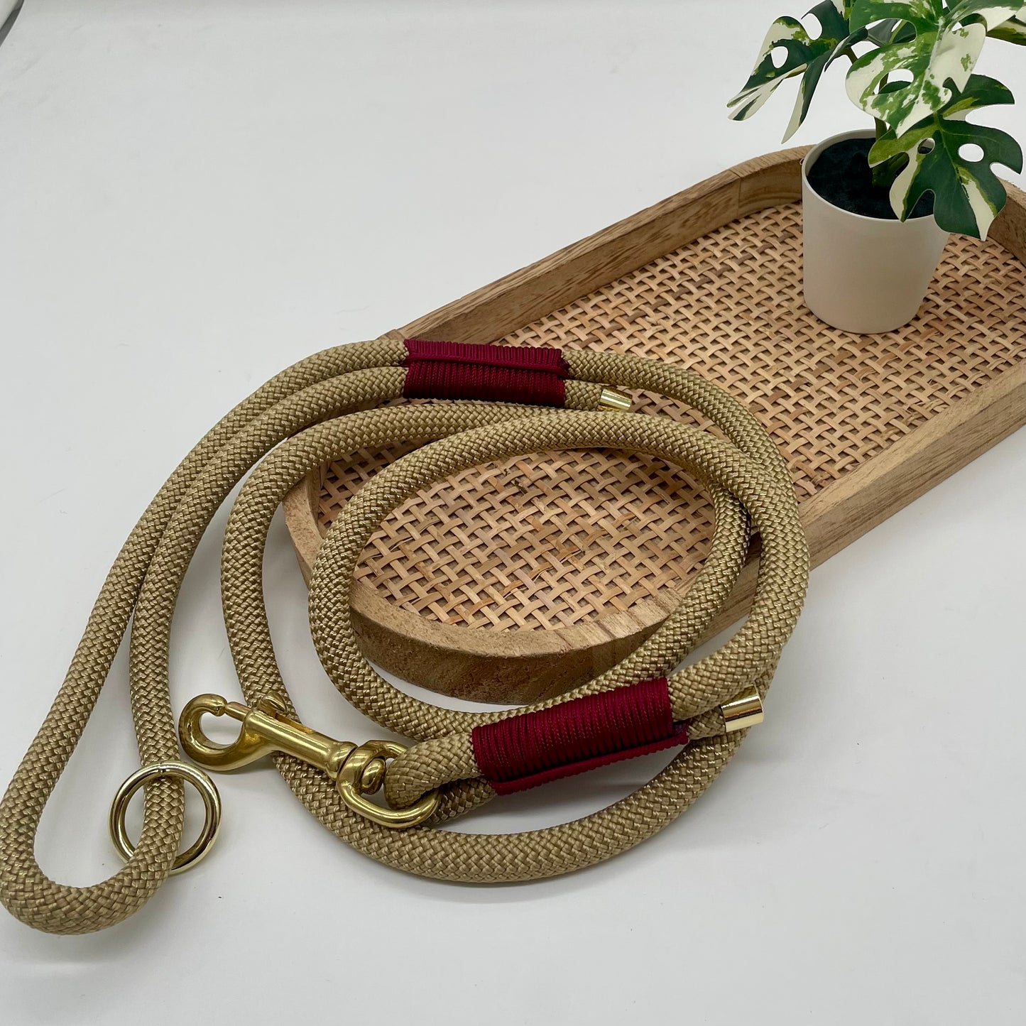 Laisses en Corde