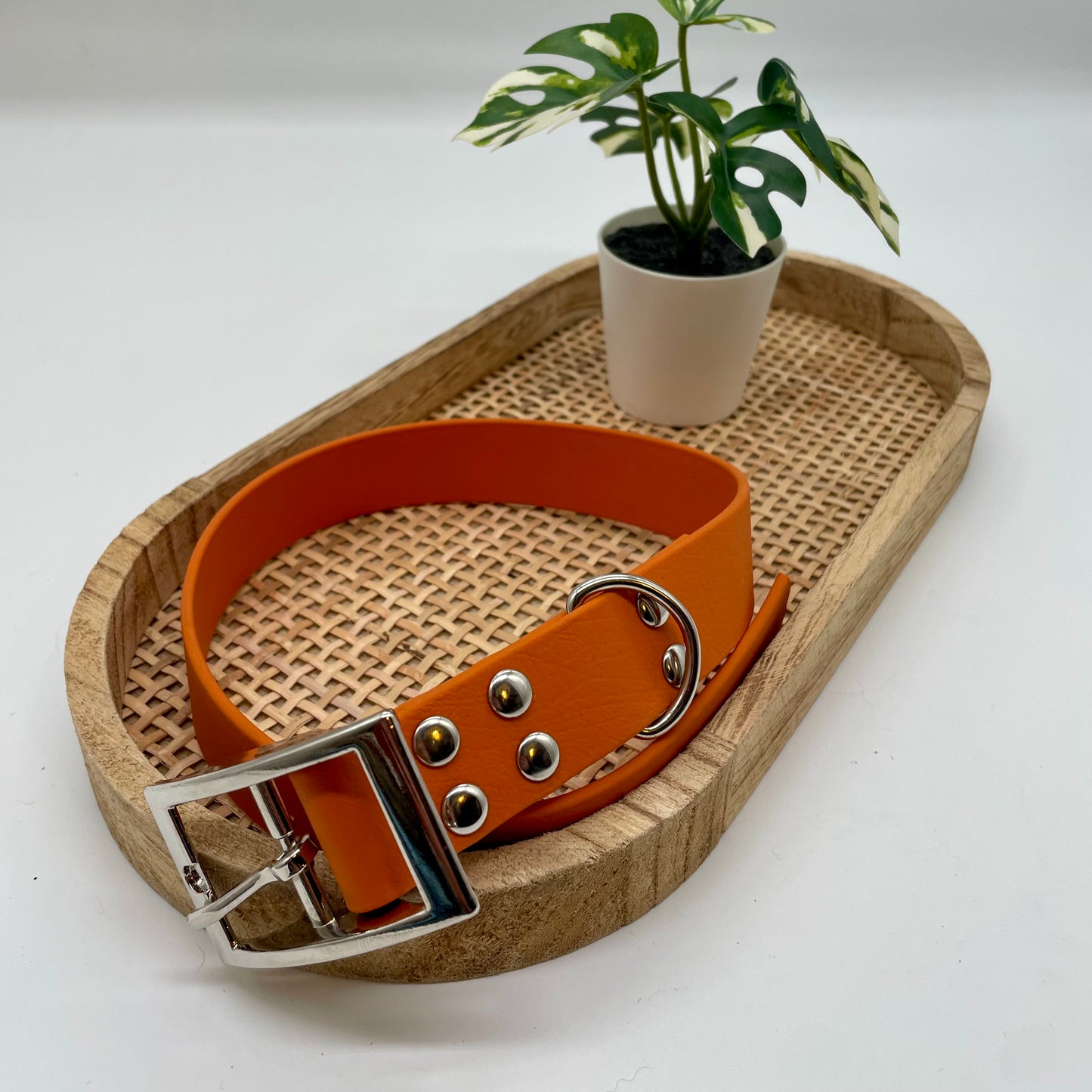 Collier en Biothane