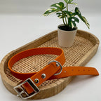 Collier personnalisé en Biothane pour chien
