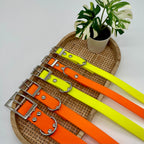 Collier personnalisé en Biothane pour chien