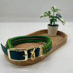 Collier paracorde pour chien tressage "Irlande"