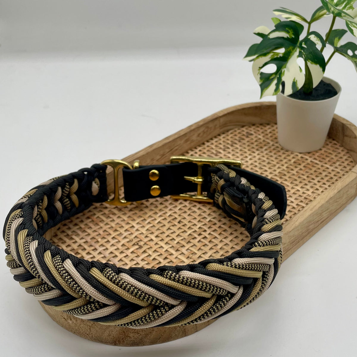 Collier paracorde pour chien tressage "Suisse"