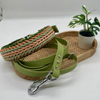 Collier paracorde pour chien tressage "Espagne"