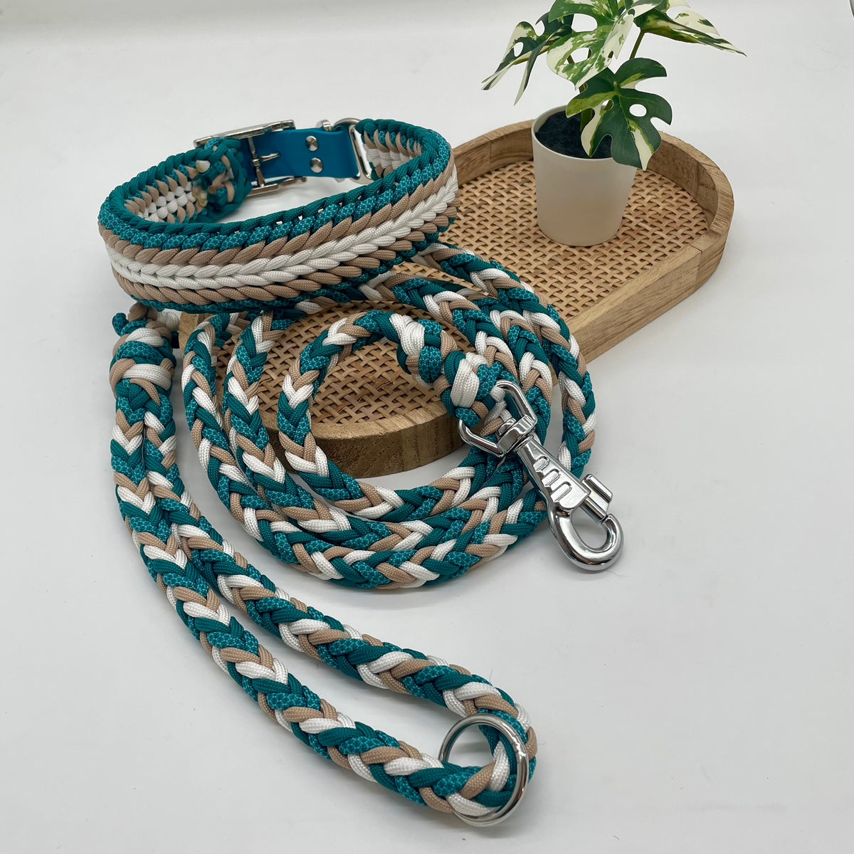 Collier paracorde pour chien tressage "Espagne"