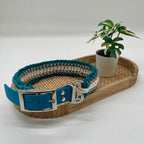 Collier paracorde pour chien tressage "Espagne"