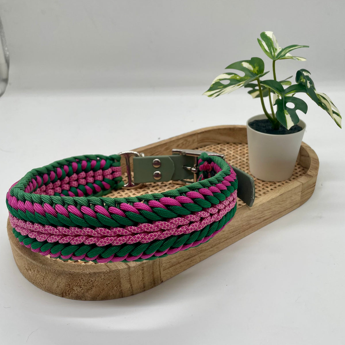 Collier paracorde pour chien tressage "Espagne"
