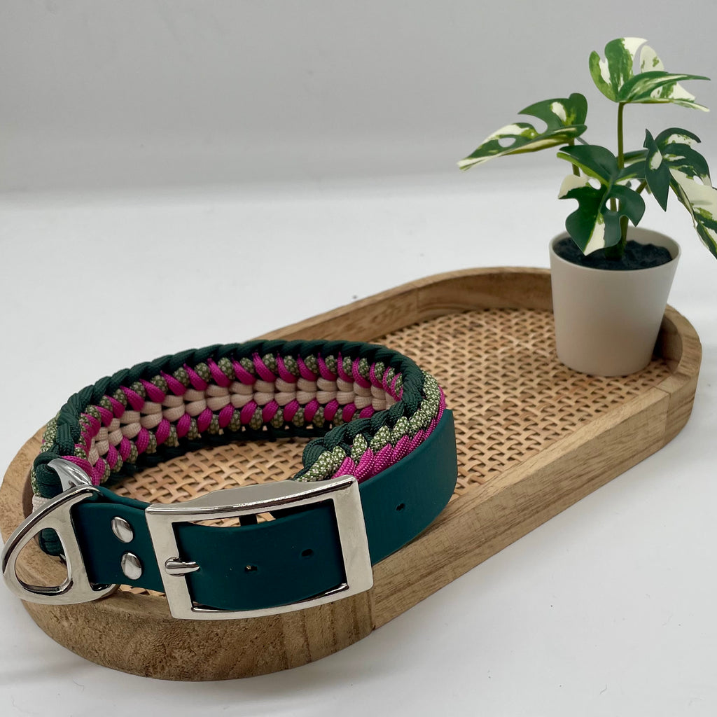 Collier paracorde pour chien tressage "Espagne"