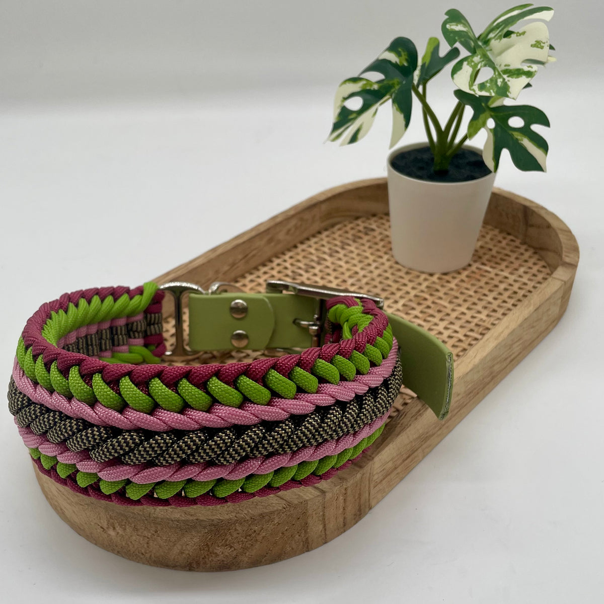 Collier paracorde pour chien tressage "Pays-Bas"
