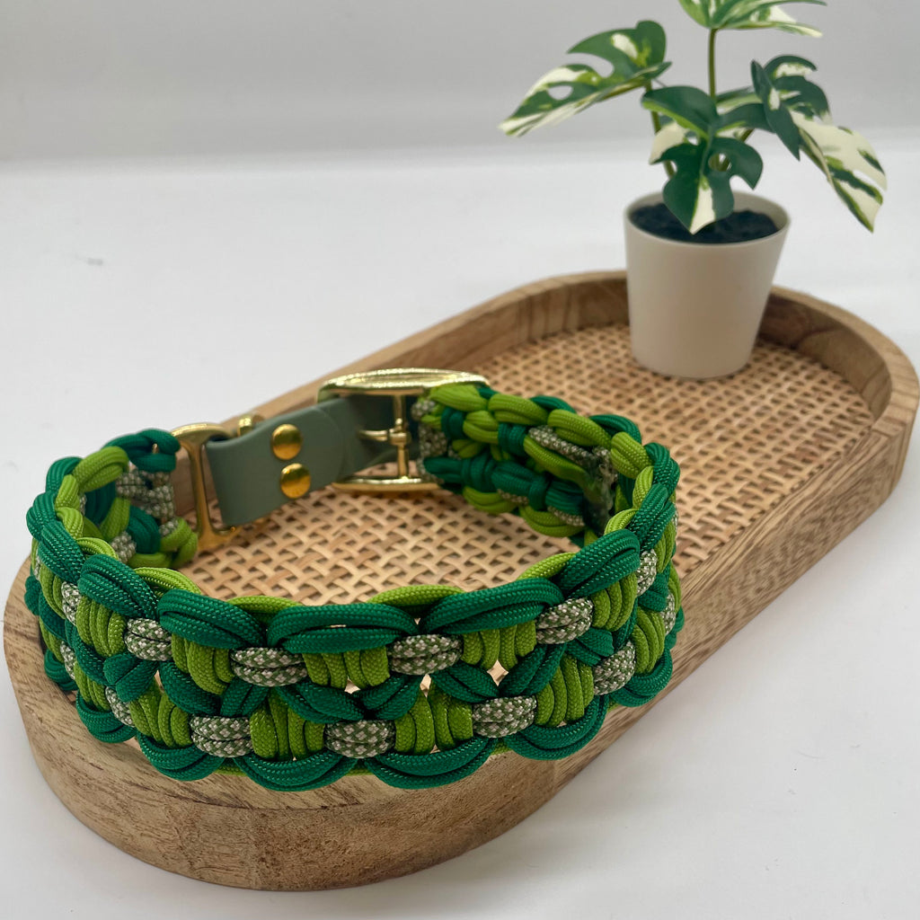 collier pour chien en paracorde couleur verte vue de face