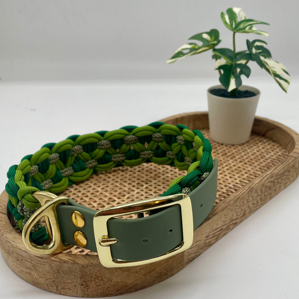collier pour chien en paracorde couleur verte vue de dos avec la bouclerie dorée