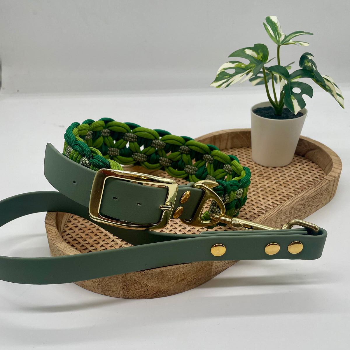 collier pour chien en paracorde couleur verte vue de dos bouclerie dorée accompagné d'une poignée en biothane couleur verte