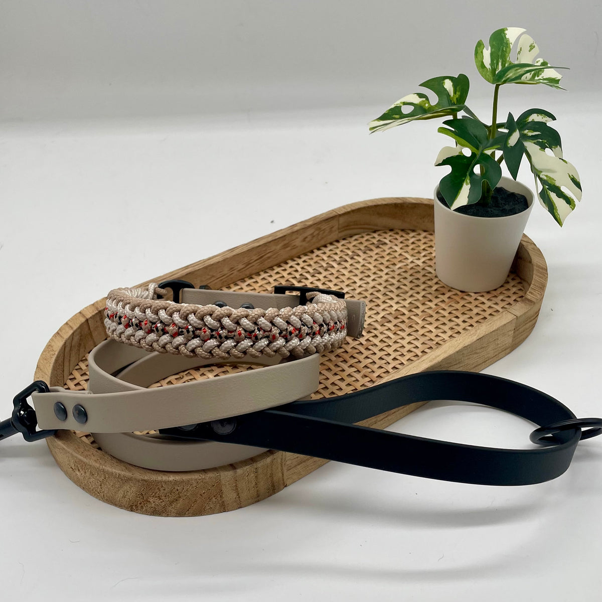 Collier paracorde pour petit chien tressage "Grèce"
