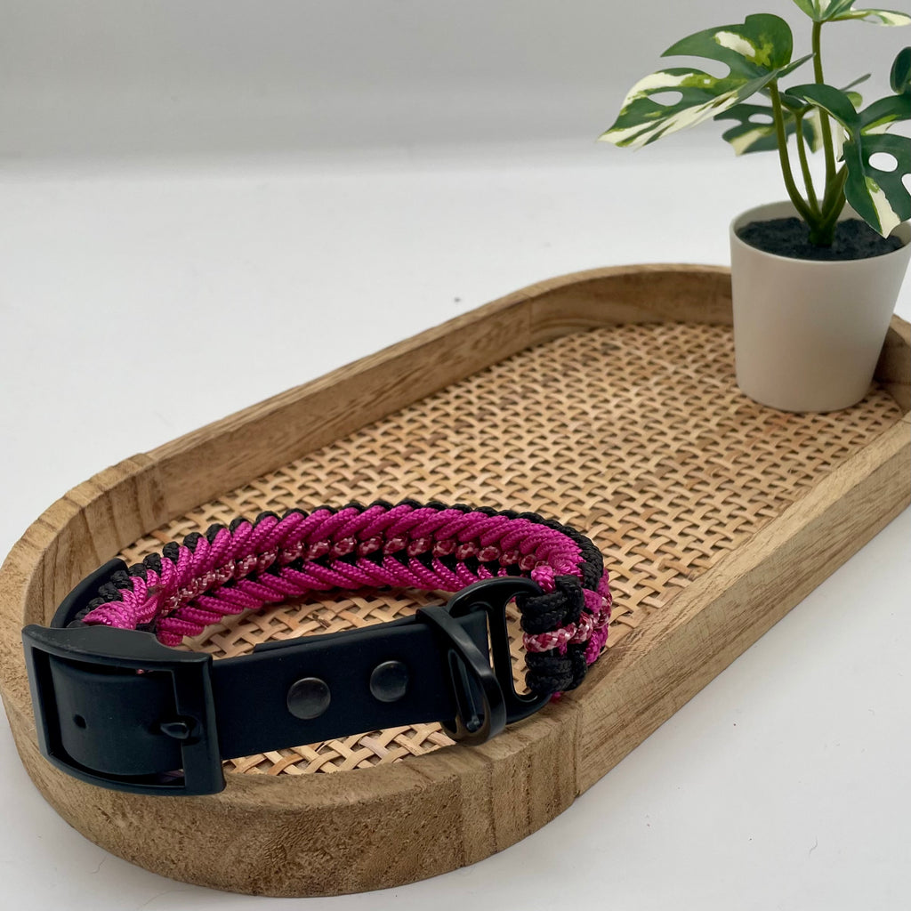 Collier paracorde pour petit chien tressage "Grèce"
