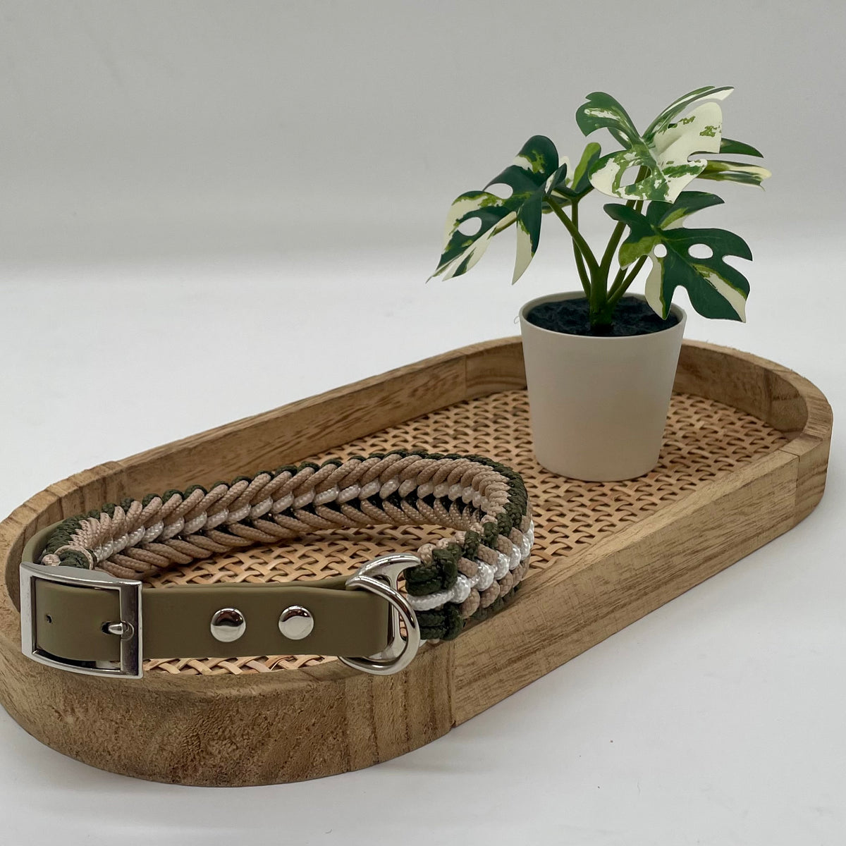 Collier paracorde pour petit chien tressage "Grèce"