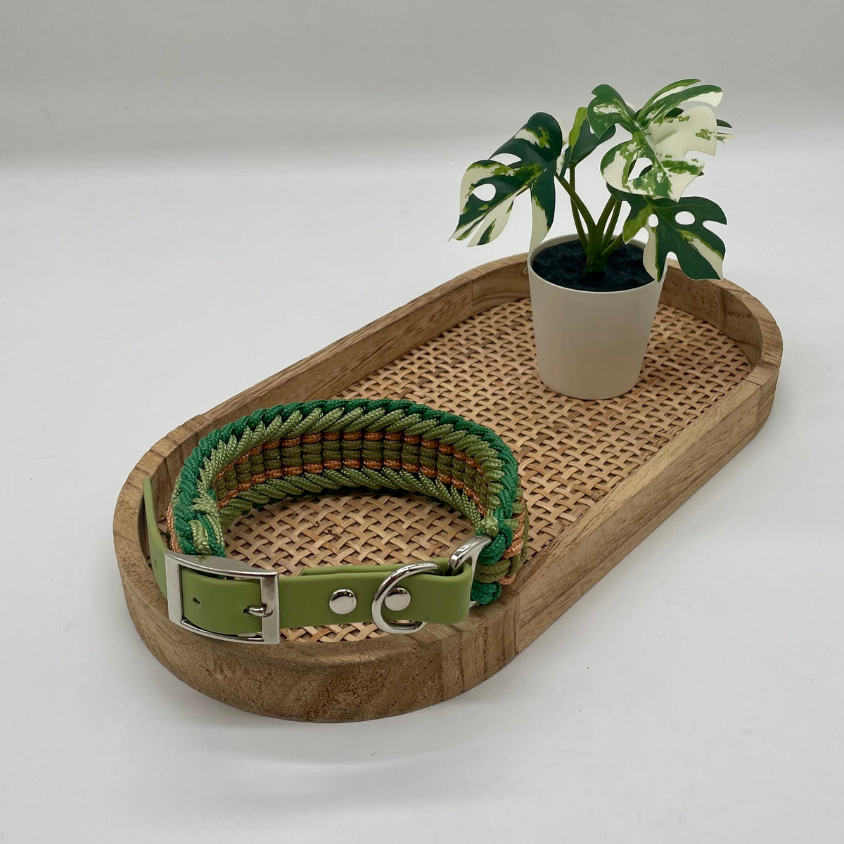 Collier paracorde pour petit chien tressage "Grèce"