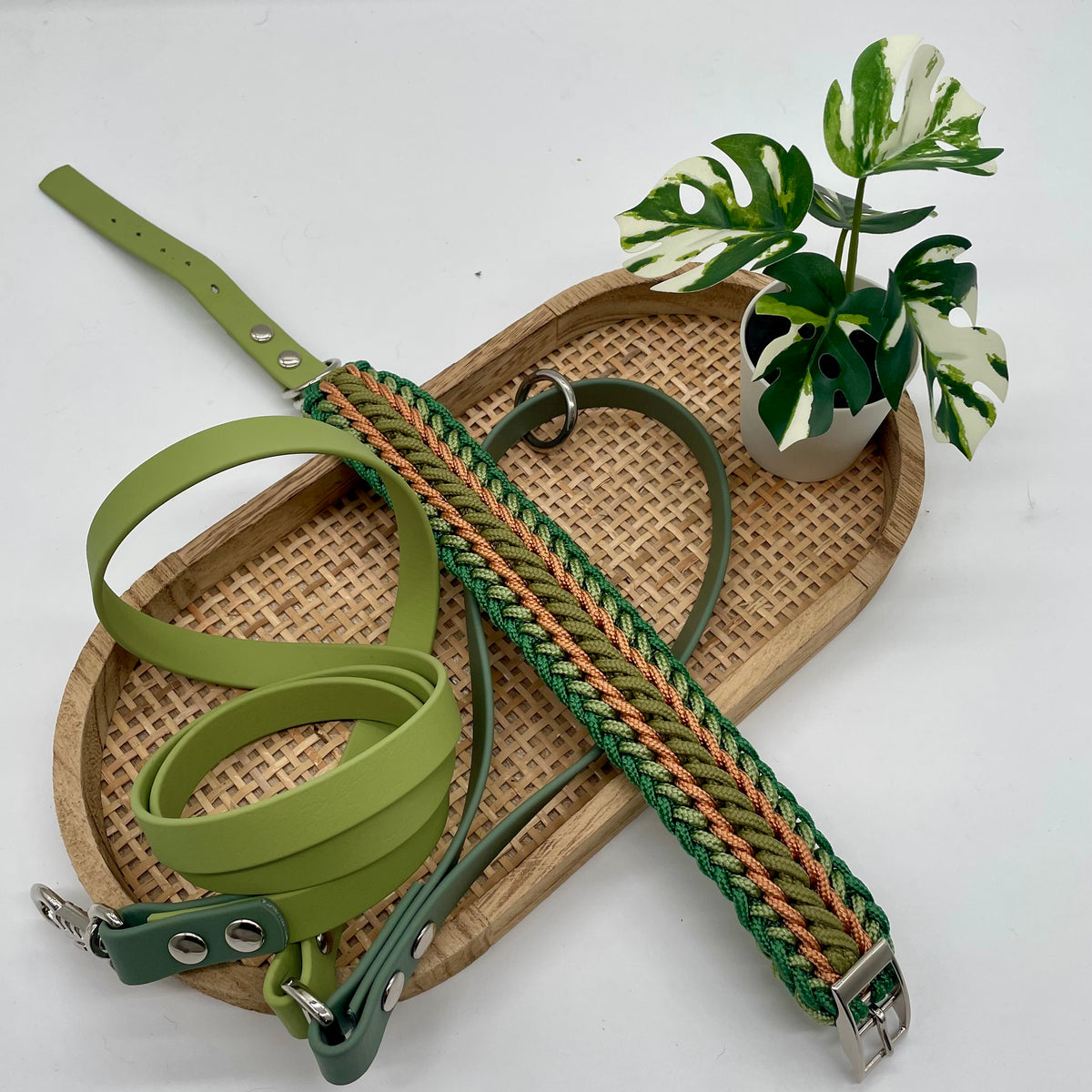 Collier paracorde pour petit chien tressage "Grèce"