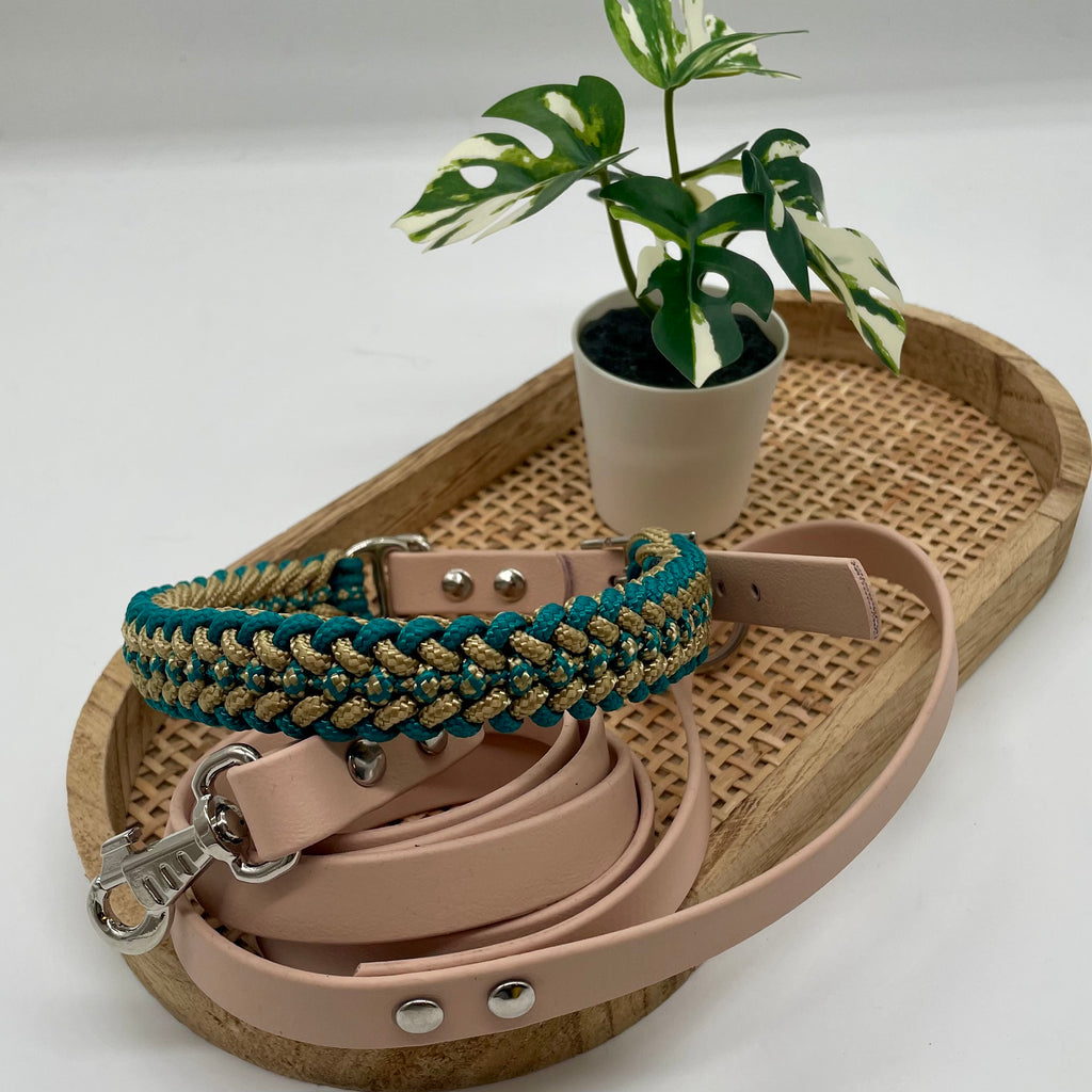 Collier paracorde pour petit chien tressage "Grèce"