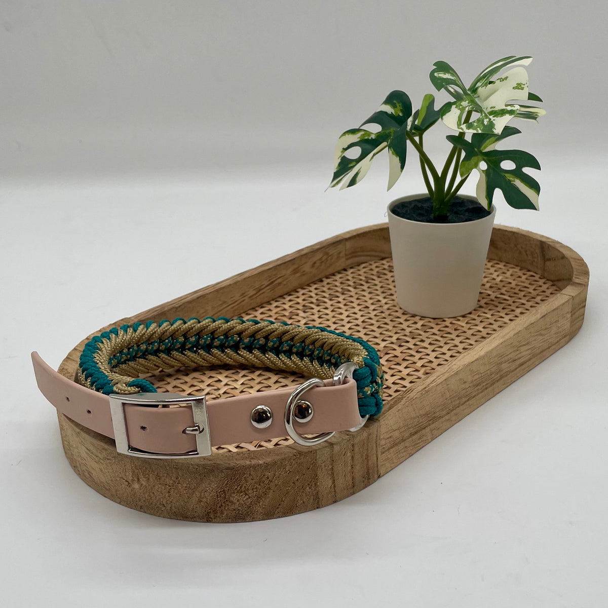 Collier paracorde pour petit chien tressage "Grèce"