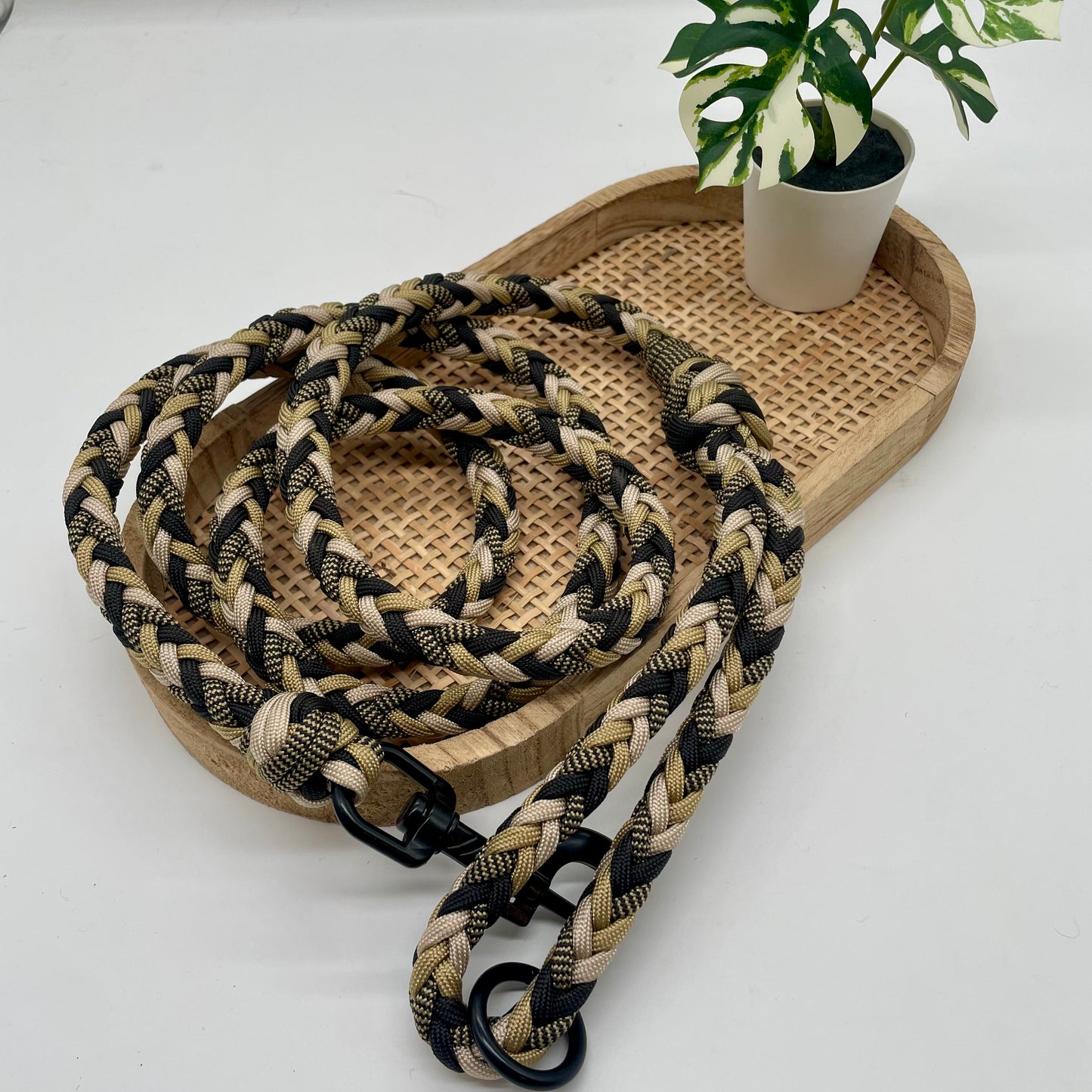 Laisse Paracord