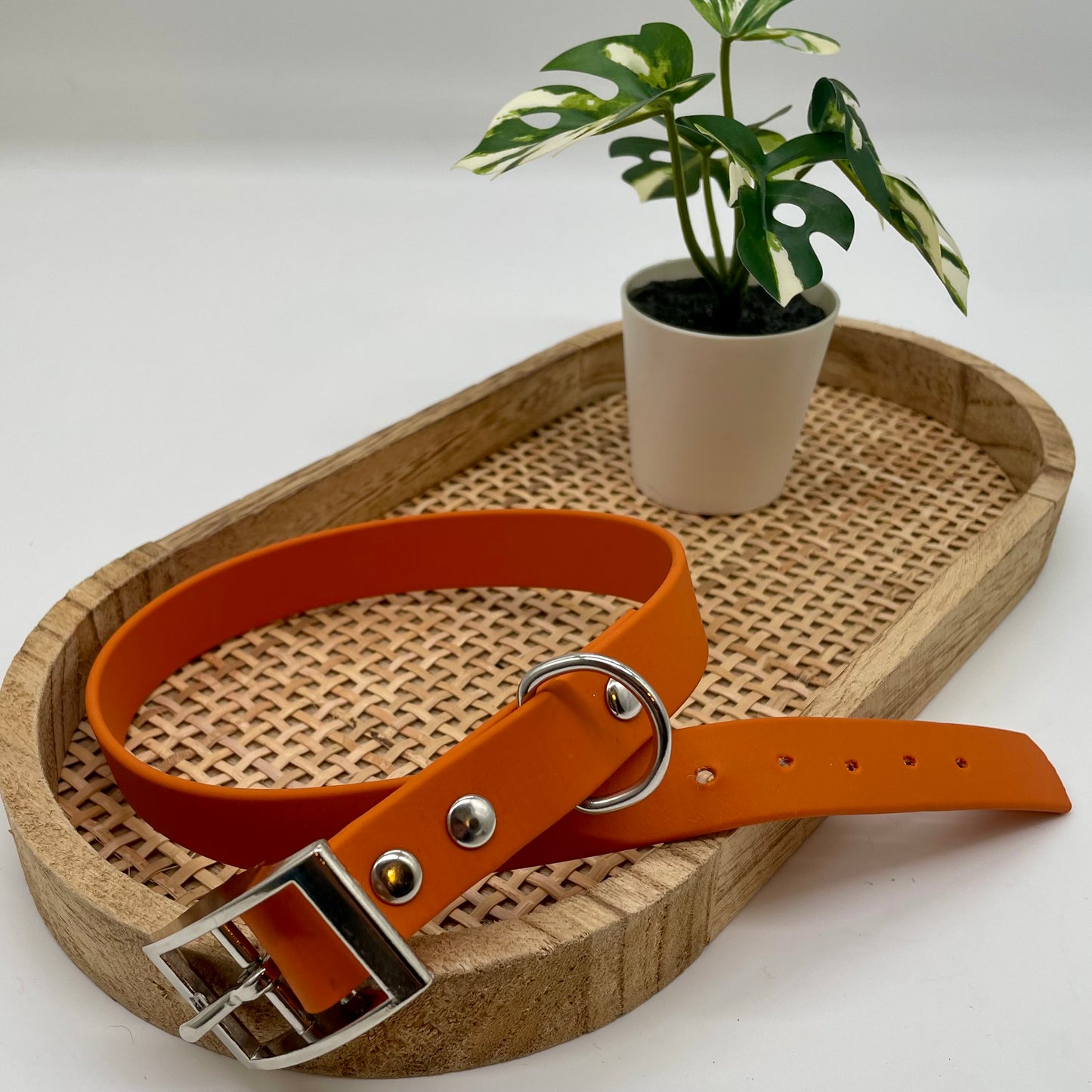 Collier en Biothane