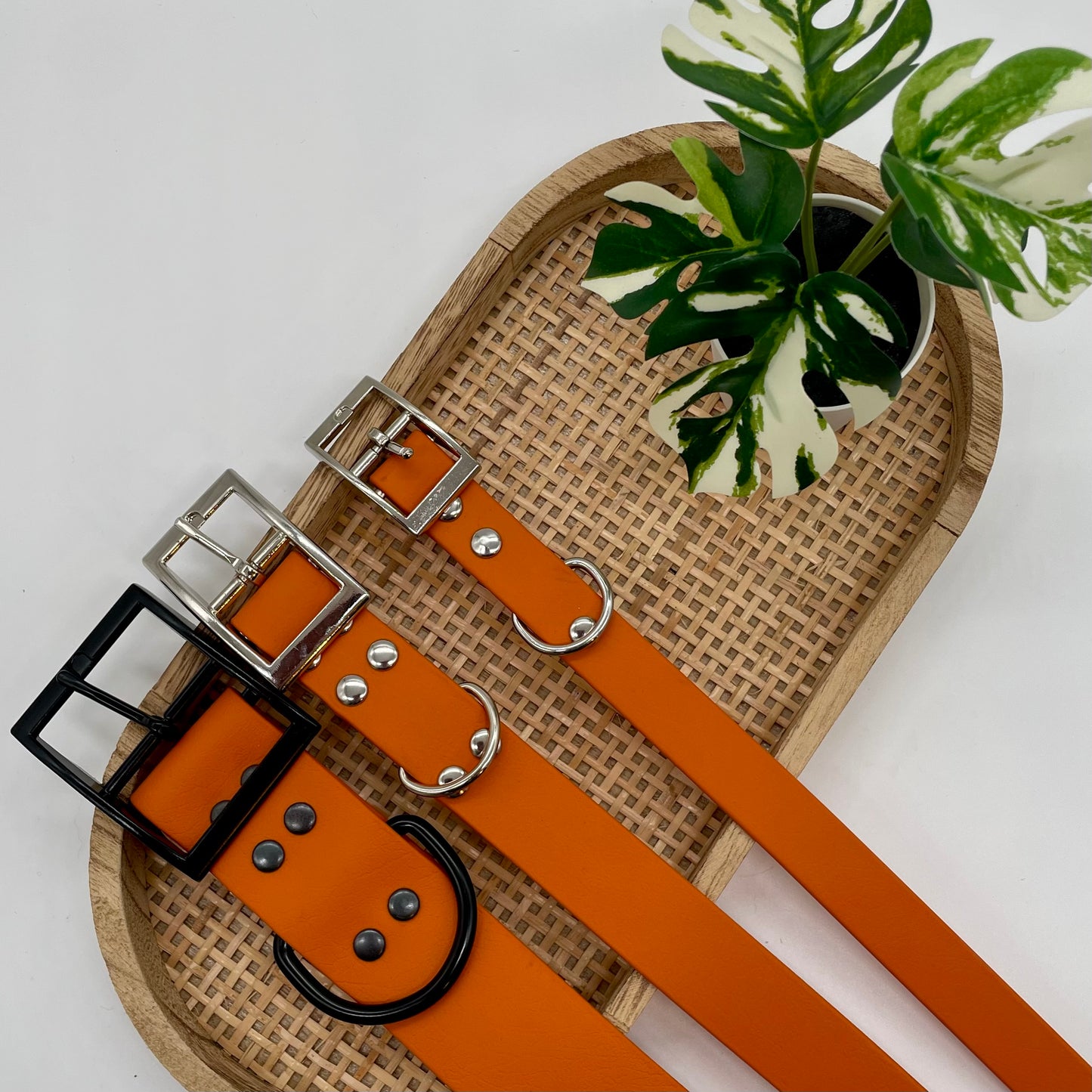 Collier en Biothane